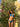 Sierra Swimsuit